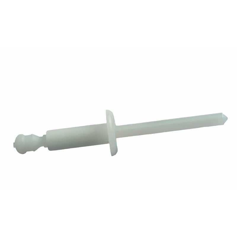 Plastic blind rivets dome head 4 x 8