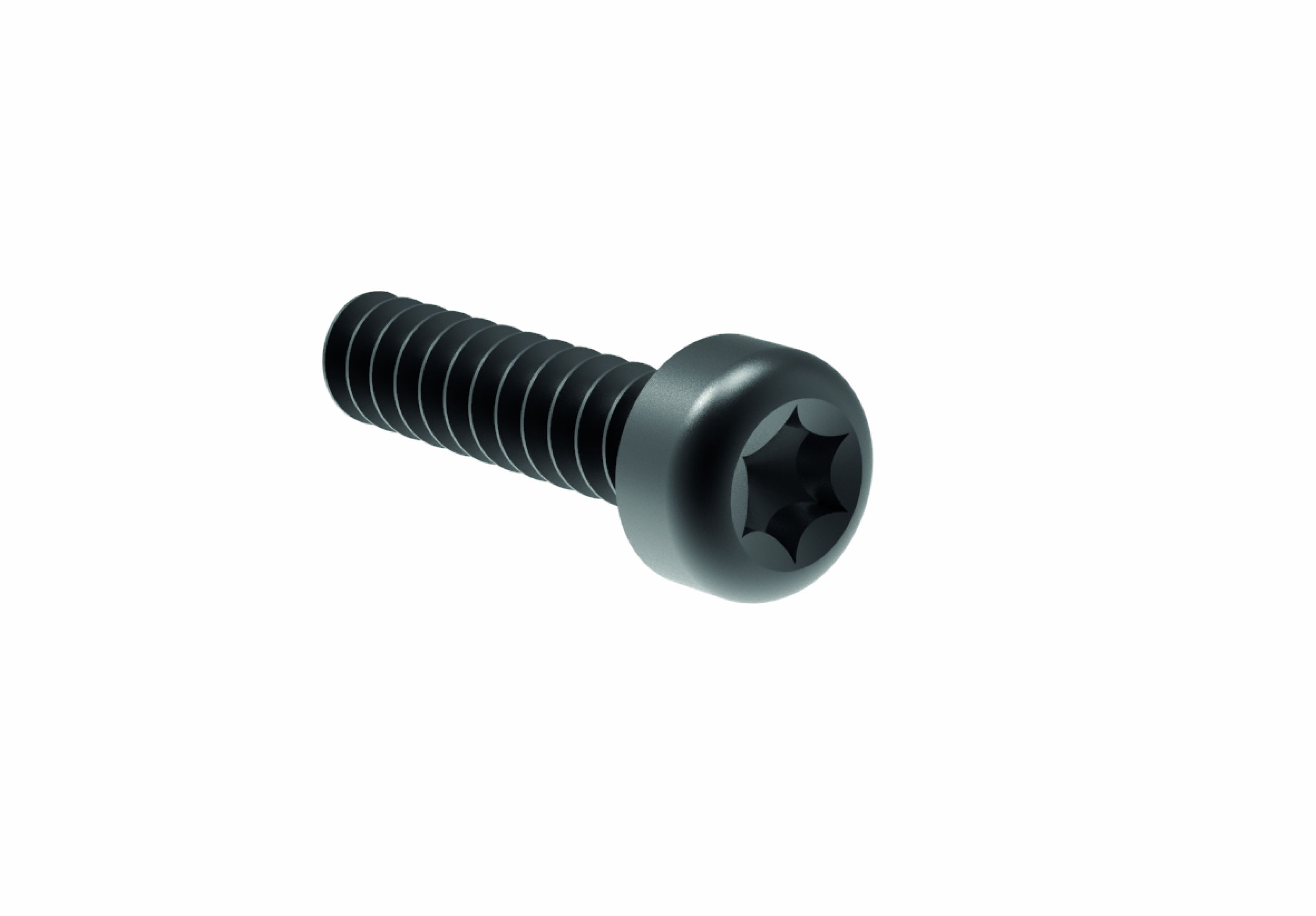 Screw for Birdie